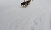 Randonnée Raquettes à neige Sondernach - raquette Schneff - Photo 2