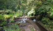 Tour Wandern São Jorge - Levada do Rei (Rother n°30) - Photo 6