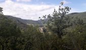 Tour Zu Fuß Nant - CANTOBRE vers causse NOIR - Photo 1