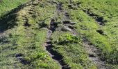 Tocht Stappen Beaufort - COL DE LA SAUCE - Photo 4