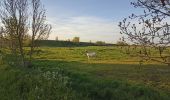 Tour Wandern Deûlémont - de la base de loisir de Deulemont à Toufflers.  - Photo 12