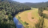 Tocht Stappen Bouillon - Rocher du pendu  - Photo 14