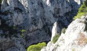 Percorso Marcia Cassis - XX-Cassis-Les Calanques-Miou-Pin-En Vau - Photo 19