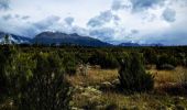 Tocht Te voet Fiordland Community - Borland Road to Lake Monowai Car Park - Photo 9