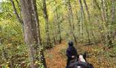 Trail Equestrian Charleville-sous-Bois - Wikiloc - Gondreville - Les secrets des bois - Photo 11