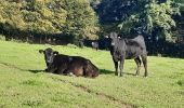 Tour Wandern Esneux - Esneux Mary . Amostrenne .Hout si Plout . Bonsgnée . La Salle . Lagrange .Rond Bati . Esneux Mary - Photo 11