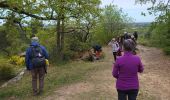 Trail Walking Fontainebleau - blo mare aux evees - Photo 2