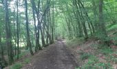 Trail Walking Pepinster - les 3 bois / cornesse  .  gofontaine  .  pepinster  .  cornesse  - Photo 11