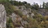 Tour Wandern Dinant - Furfooz Lzsse - Photo 1