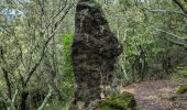 Trail Walking Lasalle - Ste Croix de Caderle - Photo 3