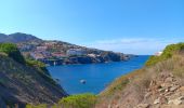 Randonnée Marche Cerbère - village des aloès - cap cerbère/ aller-retour - Photo 8