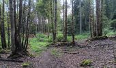 Trail Walking Les Rousses - lac des rousses . roche blanche . fort du risoux - Photo 3