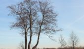 Tocht Te voet Steenwijkerland - WNW WaterReijk - Kalenberg/Ossenzijl - gele route - Photo 6