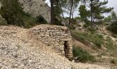 Tour Wandern Salon-de-Provence - 13 Le Tallagard par le sentier des abeilles puis vers la Pastorale - Photo 2