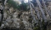 Trail Walking Trévignin - la boucle du Mont Revard par le golet de la pierre et la crémaillère  - Photo 6