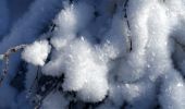 Tocht Sneeuwschoenen Valmeinier - Mathoset-2022-12-18 - Photo 8