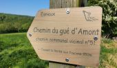 Randonnée Marche Esneux - Autour de Ham par les deux Gués - Photo 1