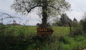 Tour Wandern Rochefort - Gare à Gare Rando 39 - Photo 5