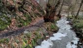 Excursión Senderismo Visé - Bois de la Julienne - Wixhoy - Photo 2