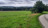 Tour Wandern Geilich - GR 57 ETAPE 9: CHERPONT-OURTHE-GOUVY - Photo 2