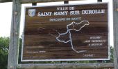 Tocht Stappen Saint-Rémy-sur-Durolle - Saint Remy sur Durol - Photo 6