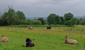 Tour Wandern Jumièges - Boucle dans Jumièges - Photo 11