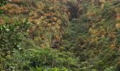 Tocht Stappen Saint-Claude - La Soufrière (retour) - Photo 8