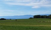 Tour Wandern Féternes - feternes - Photo 1