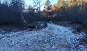 Percorso Marcia Les Mées - les pénitents et leur forêt domaniale - Photo 17