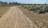 Tocht Quad Montescot -  Villeneuve-de-la-Raho-Collioure (Septembre/Juin) - Photo 13