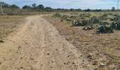 Tour Quad Montescot -  Villeneuve-de-la-Raho-Collioure (Septembre/Juin) - Photo 13