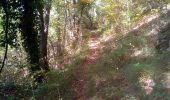 Percorso Marcia Niaux - Niaux  - Photo 6