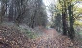 Tocht Stappen Esneux - amostrenne, les crêtes . limon. hestreux . targnon . retour  - Photo 6