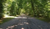 Excursión Senderismo Coye-la-Forêt - Boucle autour des étangs de Commelles - Photo 2