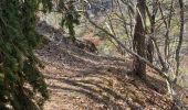 Trail Walking Furmeyer - Col des Traverses par le sentier de chamois - Photo 1