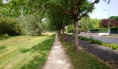 Trail Walking Monts - Monts - la Horaie Circuit avec routes - 16.6km 130m 3h40 - 2022 06 16 - Photo 7
