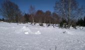 Tocht Sneeuwschoenen Sewen - Sortie raquettes Burnhaupt le Bas  - Photo 3
