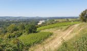 Percorso Marcia Pouilly-sur-Loire - Pouilly sur loire 58:rando dans les Vignes  - Photo 15