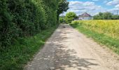 Trail Walking Coulommiers-la-Tour - Les Bois d'Huchigny, des Péseries et de Villemalin - Photo 9