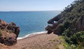 Randonnée Marche Théoule-sur-Mer - Miramar, Notre dame d'Afrique ,la pointe de l'Aiguille - Photo 3