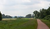 Tour Zu Fuß Hüde - Dümmer-Rundweg - Photo 8