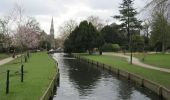 Tocht Te voet East Hertfordshire - New River Path - Photo 8