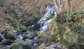 Trail Walking Châtel-Guyon - 6 03 2025 - Photo 2