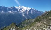 Randonnée Marche Chamonix-Mont-Blanc - Les Lacs Noirs 10.7.22 - Photo 16