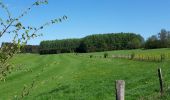 Tocht Stappen Neufchâteau - Verlaine - Cap au vert - Photo 6