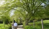 Trail On foot Stoumont - WandArdRiv7: Moulin-du-Ruy langs de onbekende Roannah - Photo 7