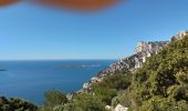 Tocht Stappen Hyères - Les calanques titou Ninou les 3 arches - Photo 6