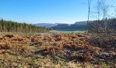 Trail Walking Bouillon - Rochehaut 110124 - Photo 11