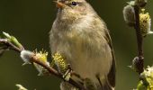 Randonnée A pied Cogne - Sentiero 22E Bivacco Martinotti - Photo 1