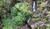 Trail Walking Hermigua - Canaries - La Gomera - El Cedro - jour 7 - Photo 3